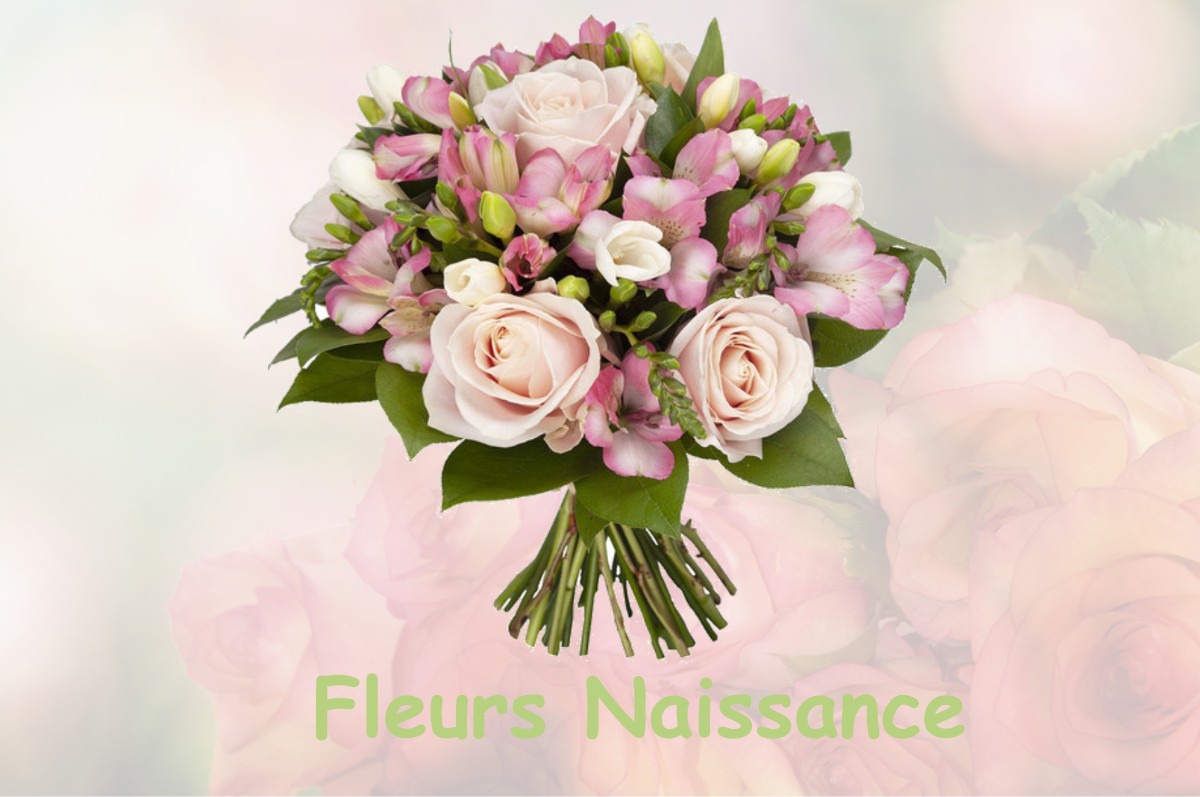 fleurs naissance RELY